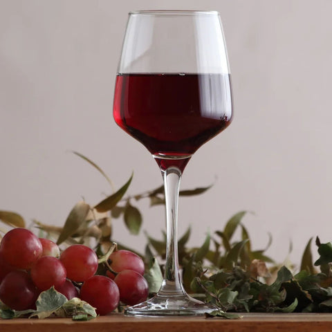 24 Piece 295ml Lal Wine Glass