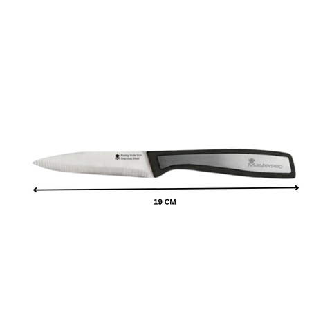 Stainless Steel Paring Knife