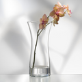 30cm Rose vase