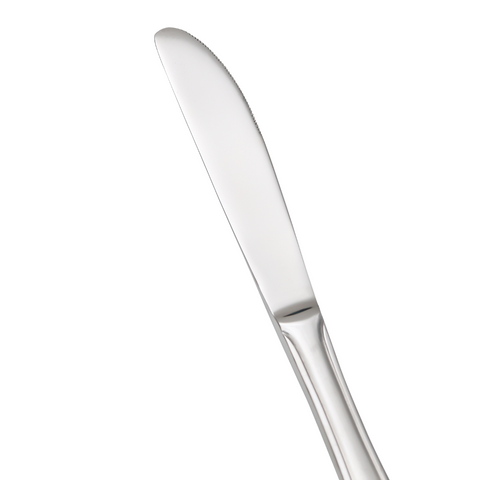 12 Piece Dubarry 18-10 Stainless Steel Table Knife