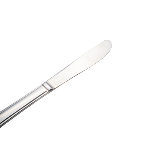 12 Piece Harley 18-0 Stainless Steel Table Knife