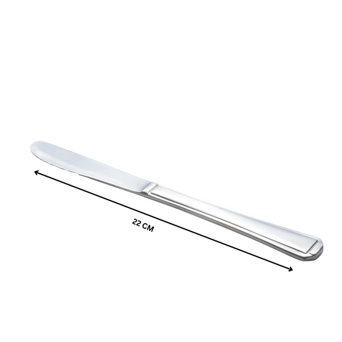 12 Piece Harley 18-10 Stainless Steel Table Knife