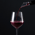 Acrylic Wine Pourer